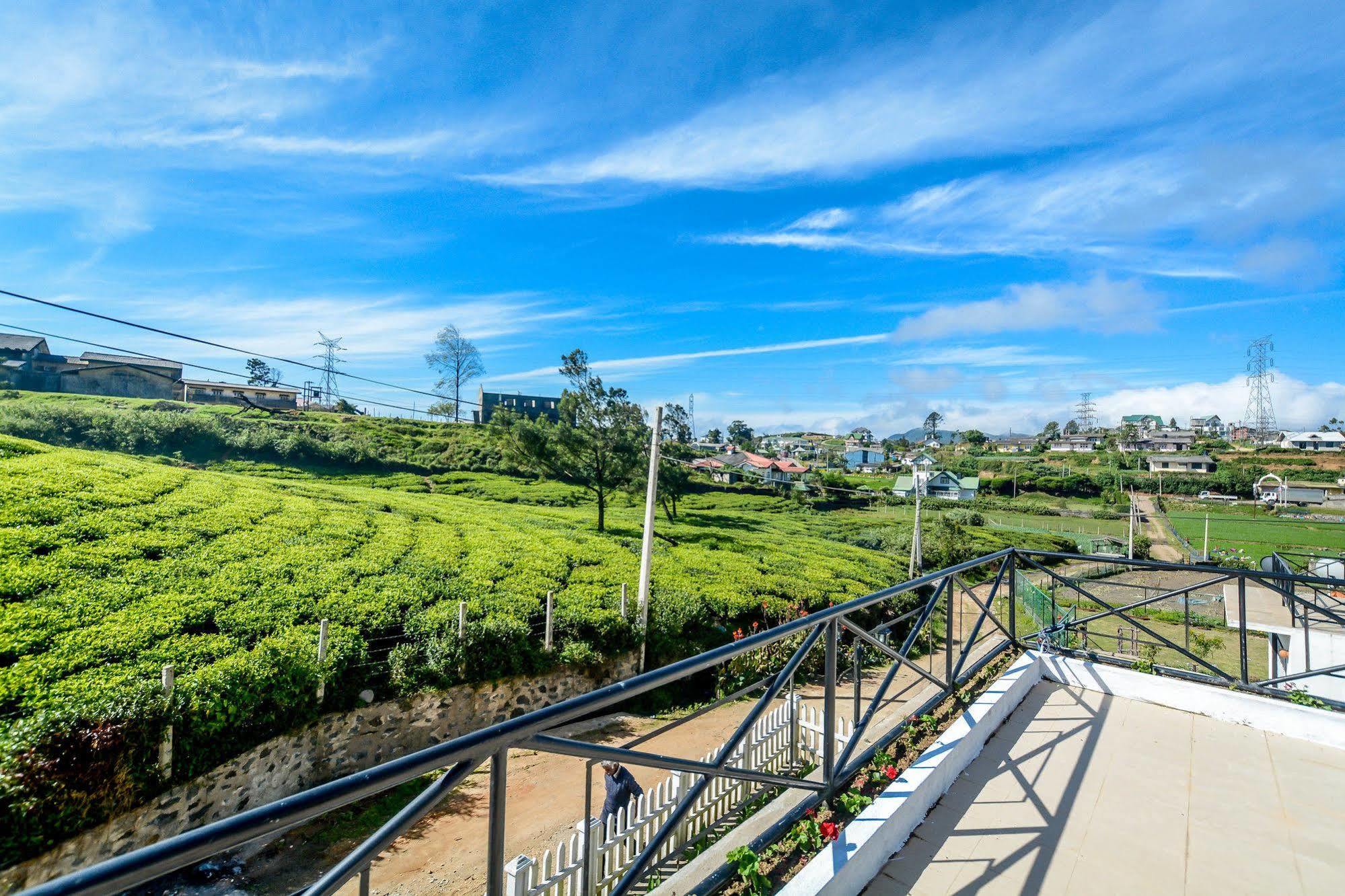 Villa Tea Fields Nuwara Eliya Exterior foto